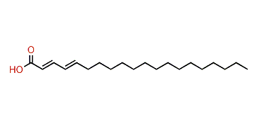 Eicosadienoic acid